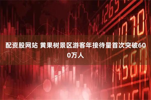 配资股网站 黄果树景区游客年接待量首次突破600万人